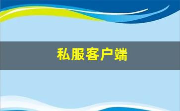 梦幻西游新区：私服客户端 (8)