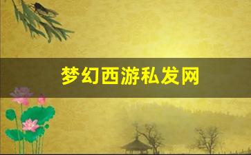 sf私服：梦幻西游私发网(梦幻西游私sf