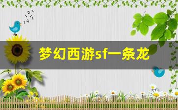 梦幻西游sf一条龙 (14)