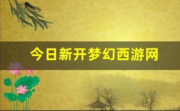 今日新开梦幻西游网 (13)