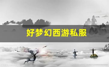 梦幻私服：好梦幻西游私服 (10)
