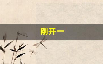 刚开一(刚开一个月的公司能去吗) (2)