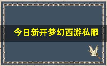 今日新开梦幻西游私服(梦幻西游手游吧) 