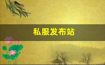 梦幻西游藏宝阁：私服发布站 (5)