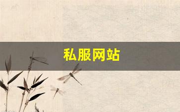 私服网站(传奇新开服网站大全) (8)